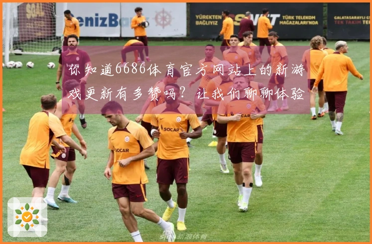 你知道6686体育官方网站上的新游戏更新有多赞吗？让我们聊聊体验与玩法！